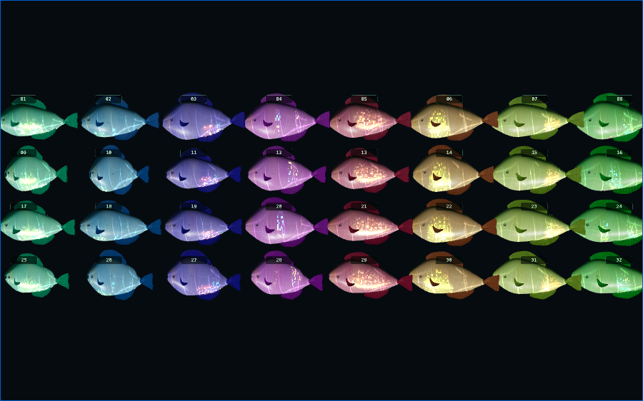Chromatophore and iridescence workshop