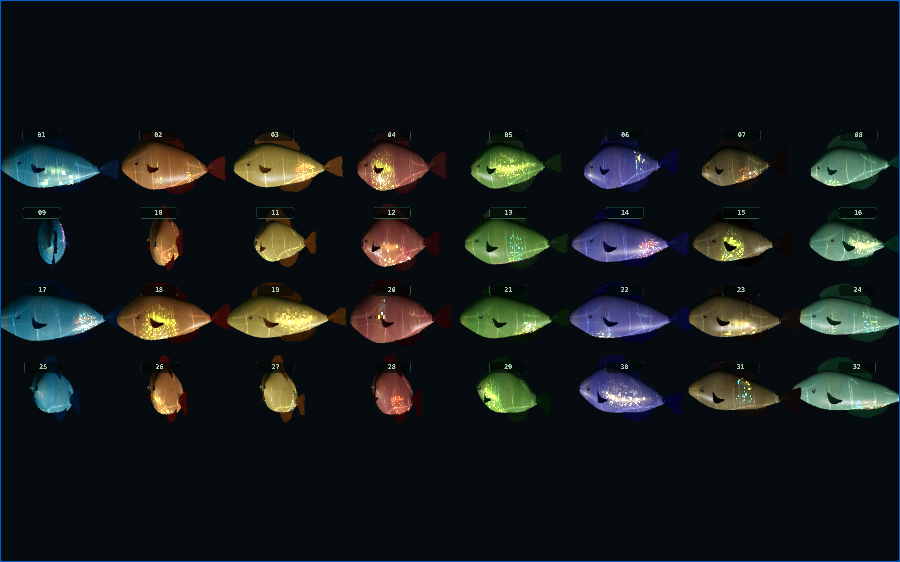 Fish variety workshop grid