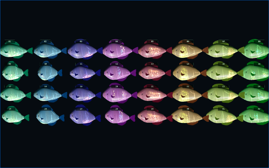 Iridescence workshop variants