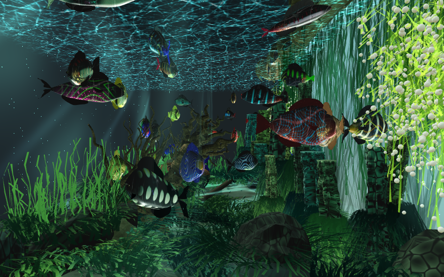 Current real aquarium tank scene
